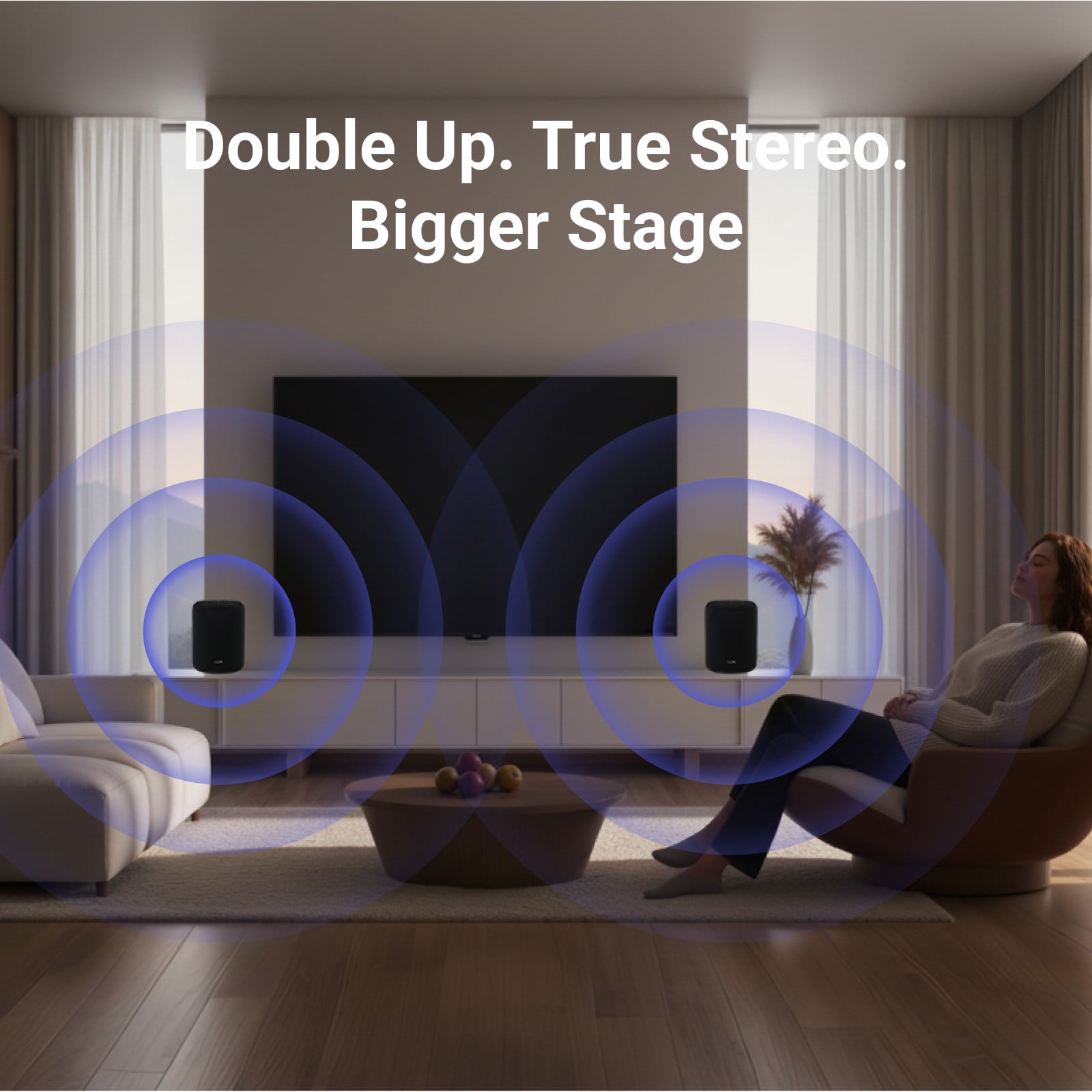 WiiM Sound Lite Twin Pack