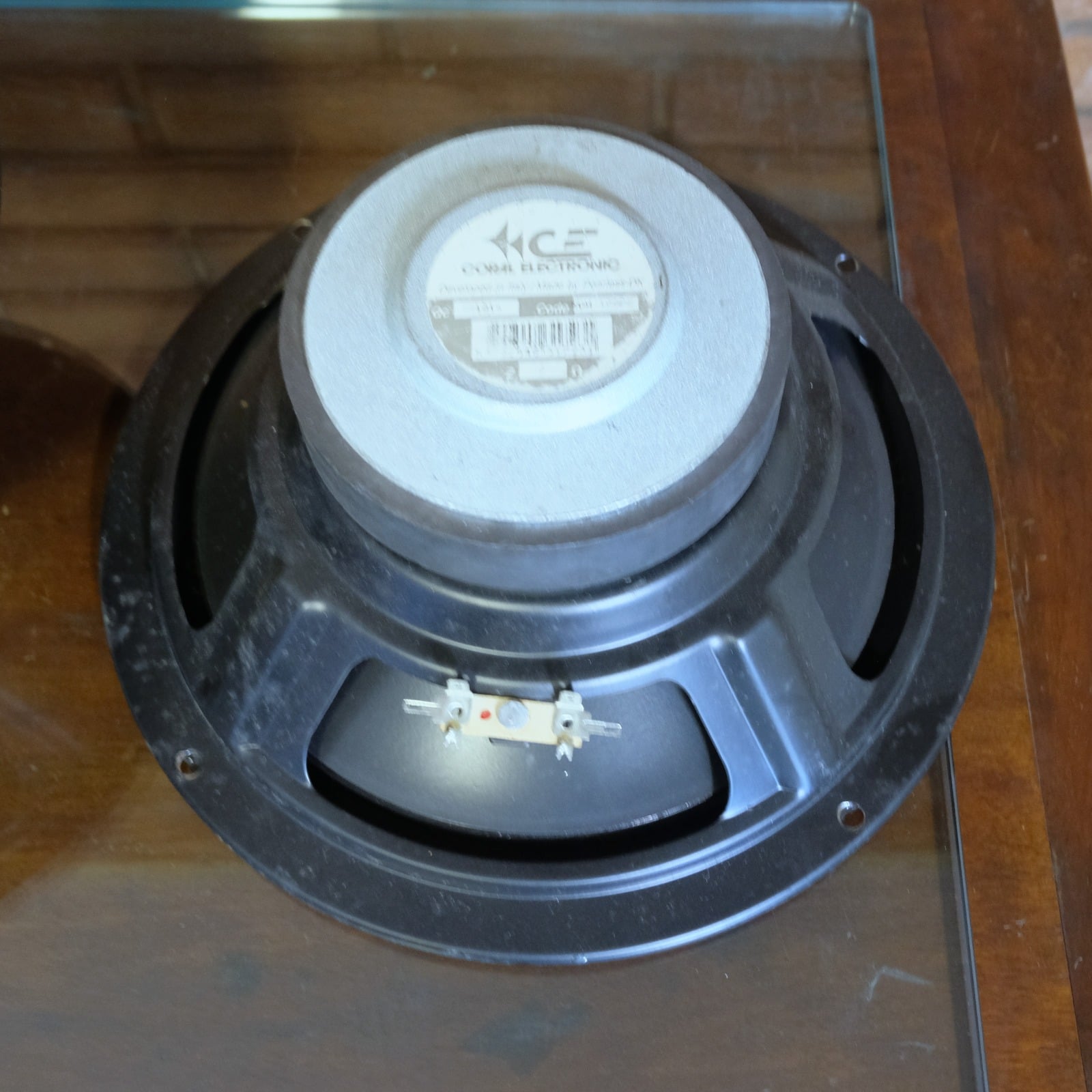 Coral woofer 25 cm (coppia)