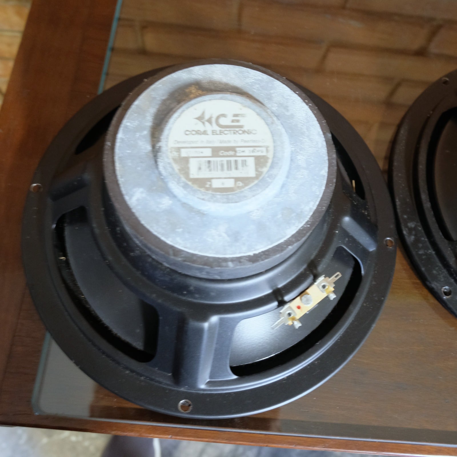 Coral woofer 25 cm (coppia)