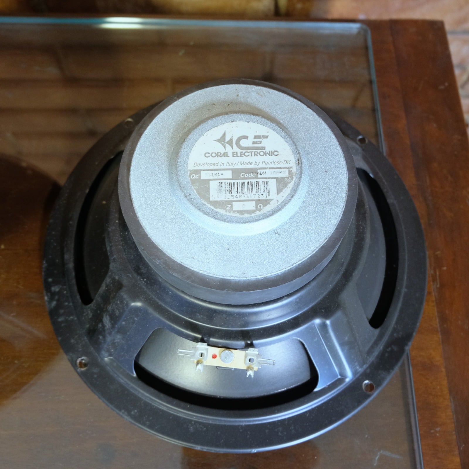 Coral woofer 25 cm (coppia)