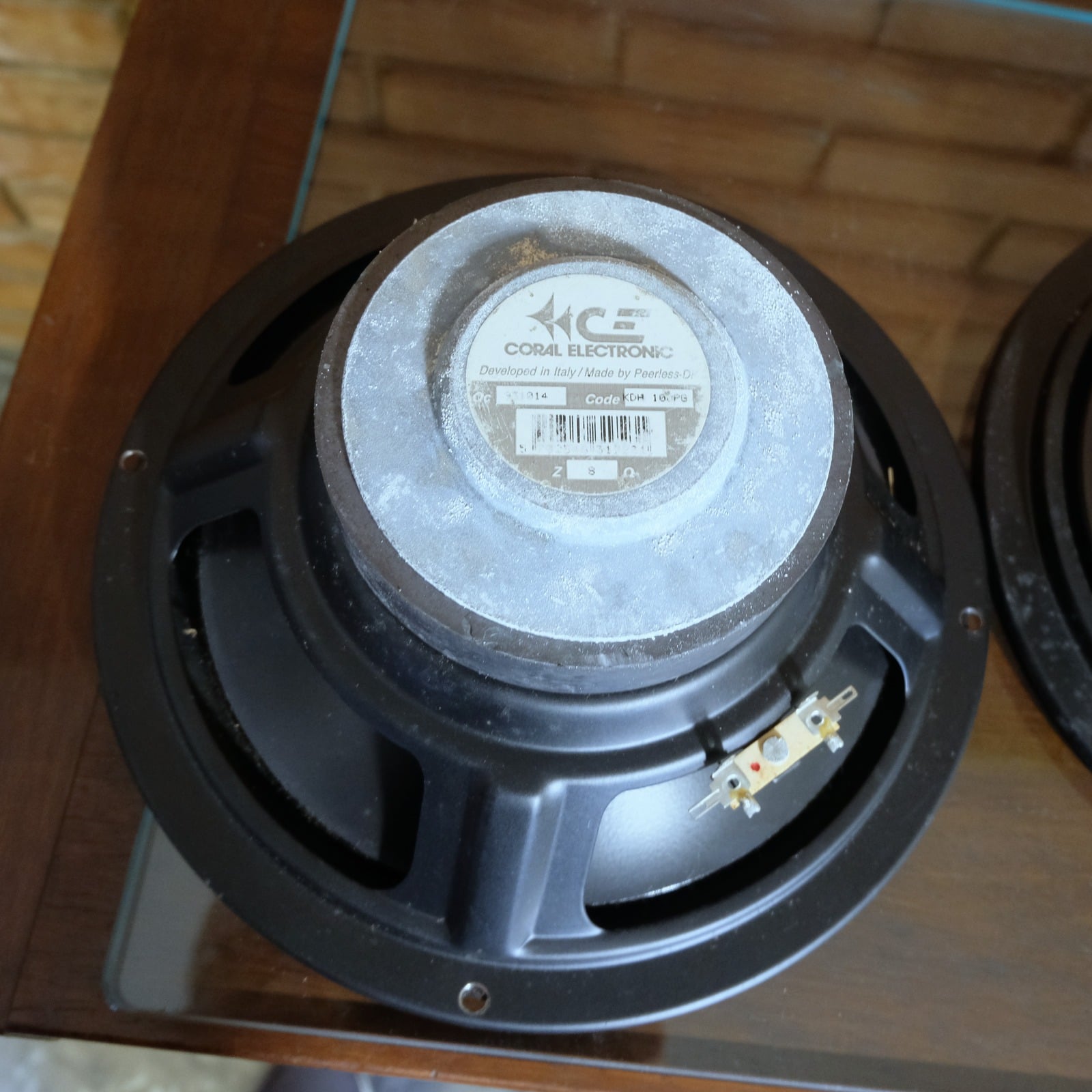 Coral woofer 25 cm (coppia)